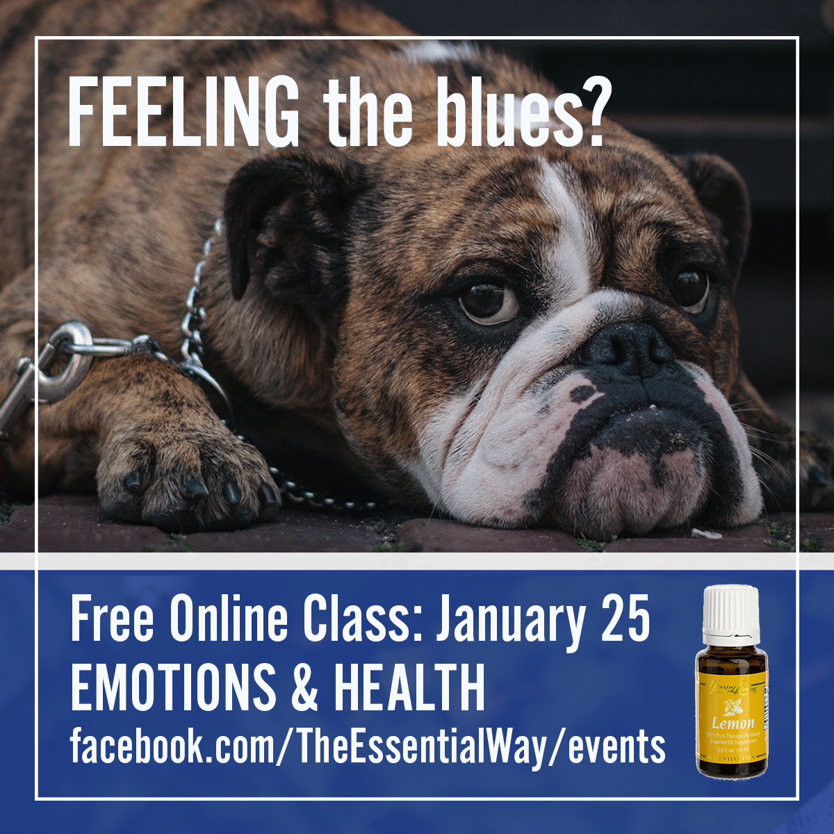 essential_way's tweet photo. Happening at 7pm EST! Free online class: Emotions &amp; Health https://t.co/7sb7O73Y0e https://t.co/b2T3oWcgcC