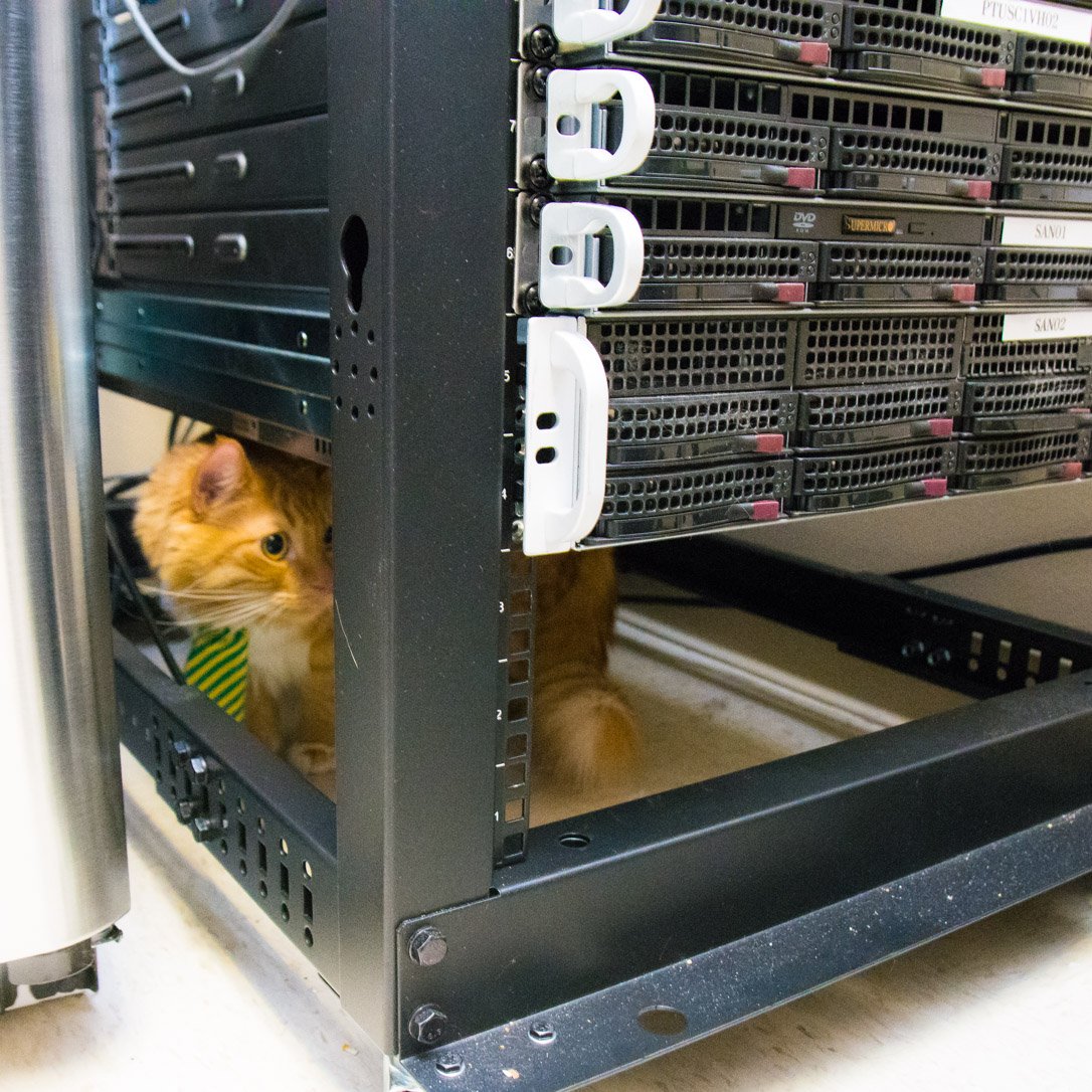 invoiceCat's tweet photo. Note to self: the IT department does not have extra mice in the server room. https://t.co/dYqTICxurW