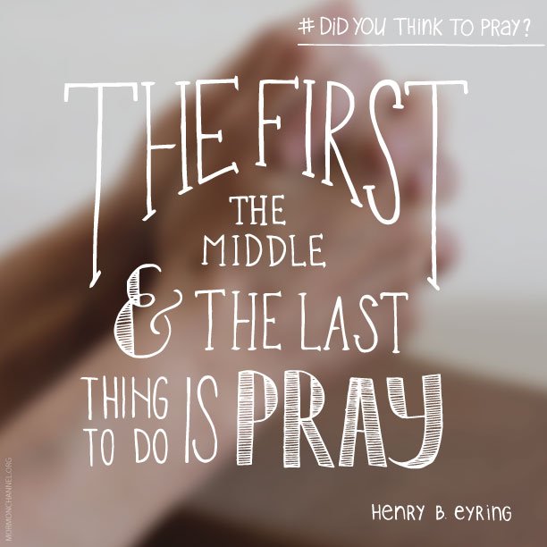 mormonchannel's tweet photo. Have you prayed today?
https://t.co/JgCQ6ZXCbA https://t.co/OZ83FTTAhZ