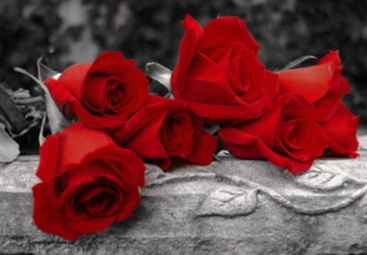 BountyDior's tweet photo. #جنان_60k_متابع
مبرووووووك حبيبتي تستاهلي شاهدين لك بالخير يارب وفالك المليون💋❤️

#حساب_يستحق_المتابعه https://t.co/EWaJBmTQrv