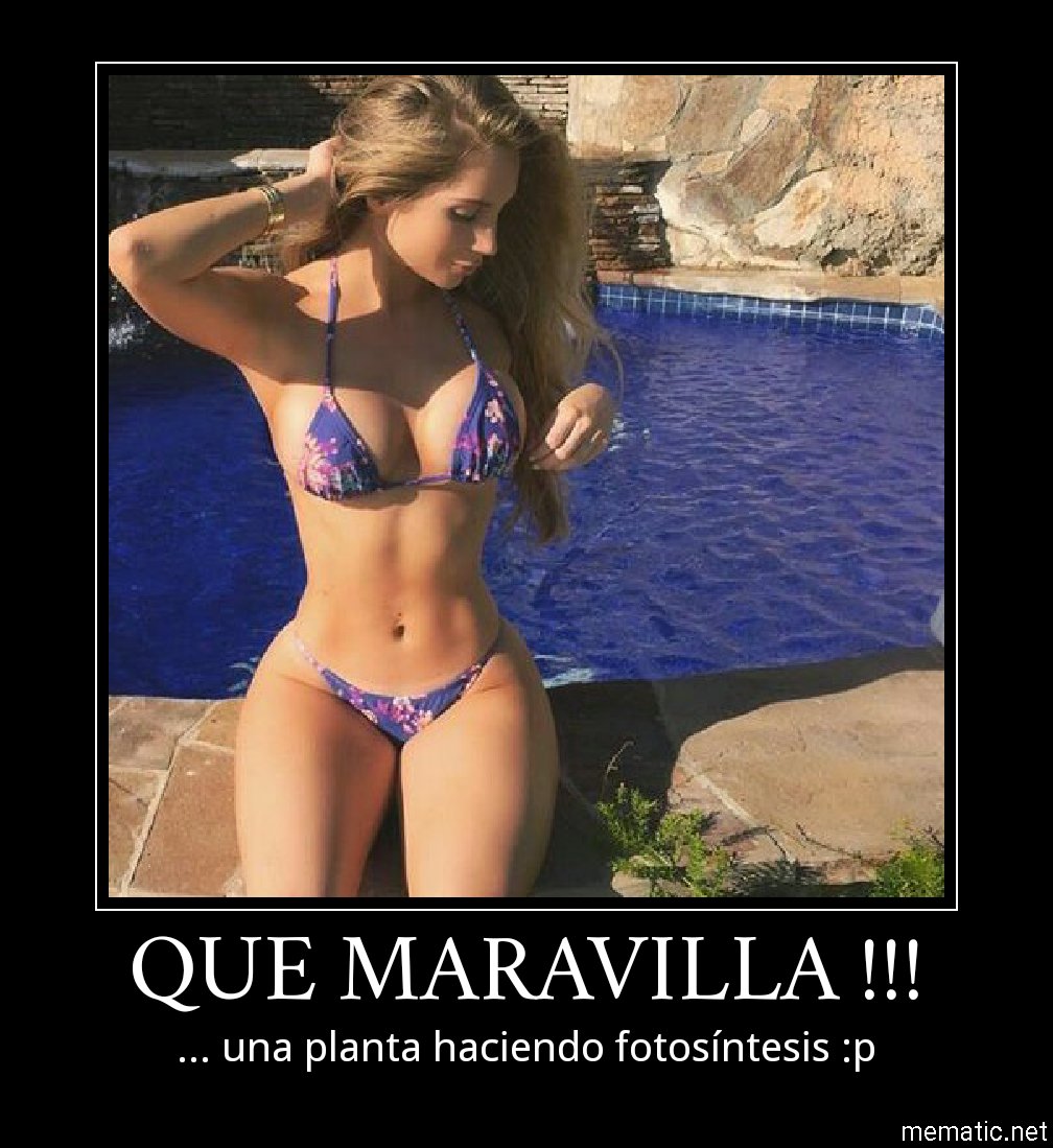 Robe_esquivel's tweet photo. https://t.co/UN0fhLiRaI