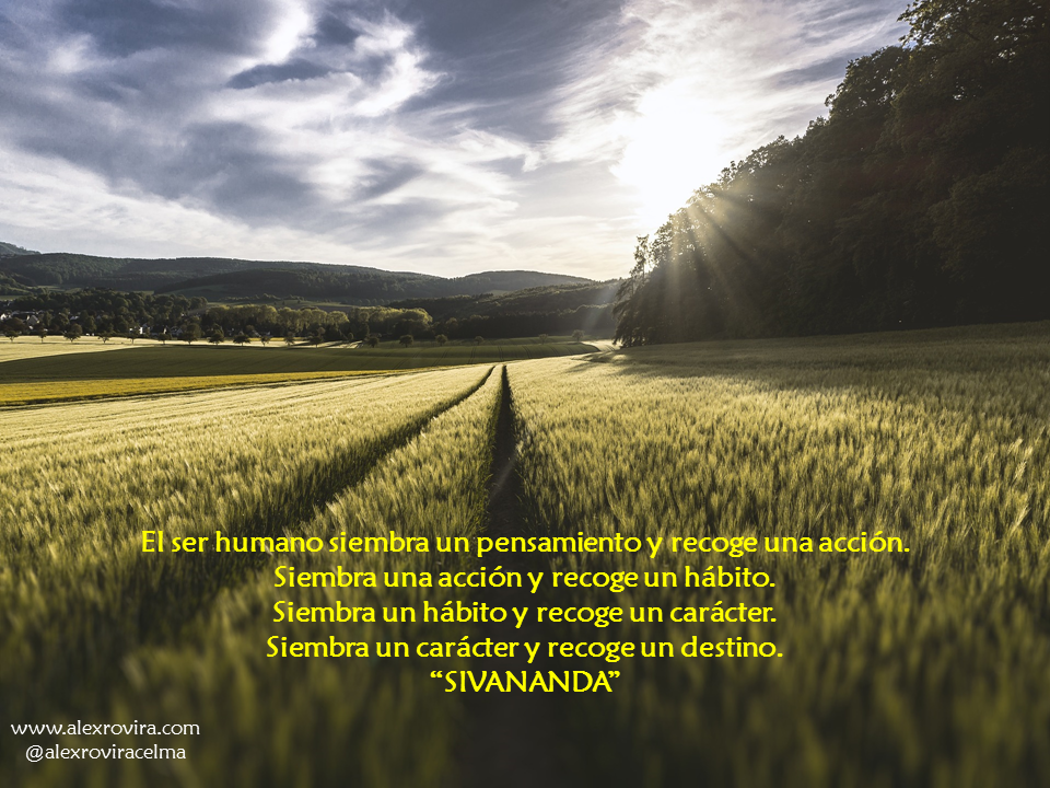 alexroviracelma's tweet photo. "La Buena Vida" 

El ser humano siembra un pensamiento y recoge una acción...

https://t.co/kC35cQlE3F https://t.co/NGBiZ2gJdx