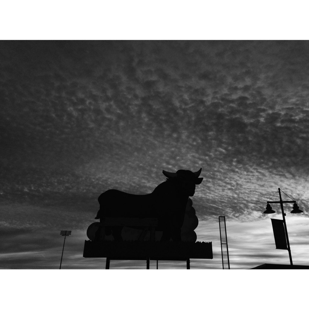 Kaitlin McKeown tweet media