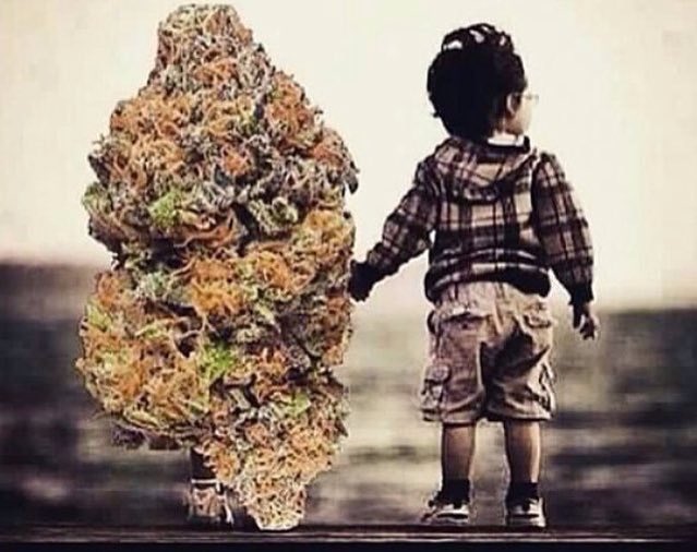 GeniusPothead's tweet photo. Never forget who was there for you when no one else was https://t.co/yGfQF5LIGQ