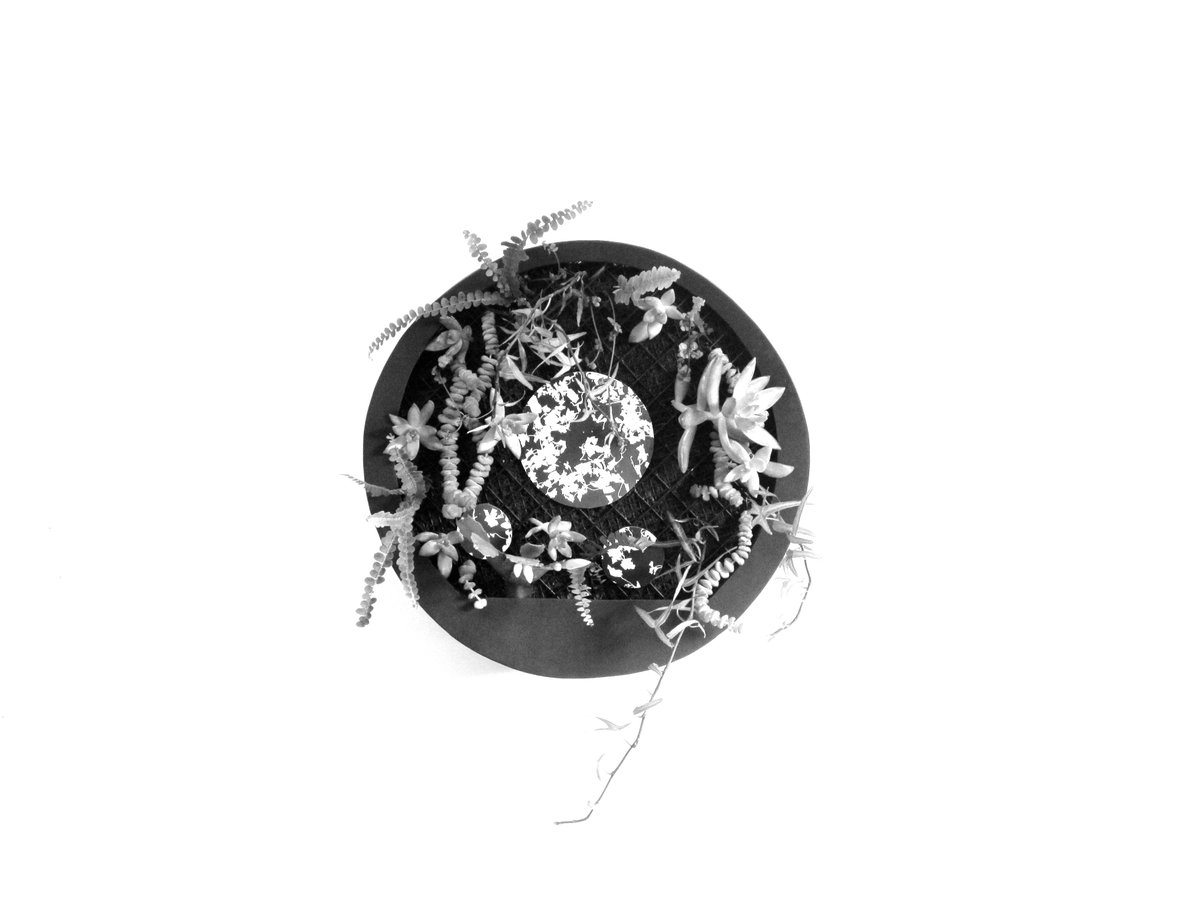 bihemispheric's tweet image. GLOW - BIONIC PAINTING #BIONIC #BIONICPAINTINGS #CUADROSBIONICOS #ARTE #ART #GLOW #BIHEMISPHERIC #BIHEMISFERICO