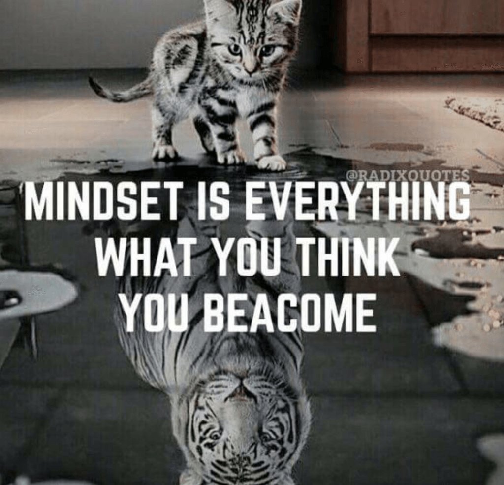PieceOfMind Therapy (@POMTherapy) / Posts / X