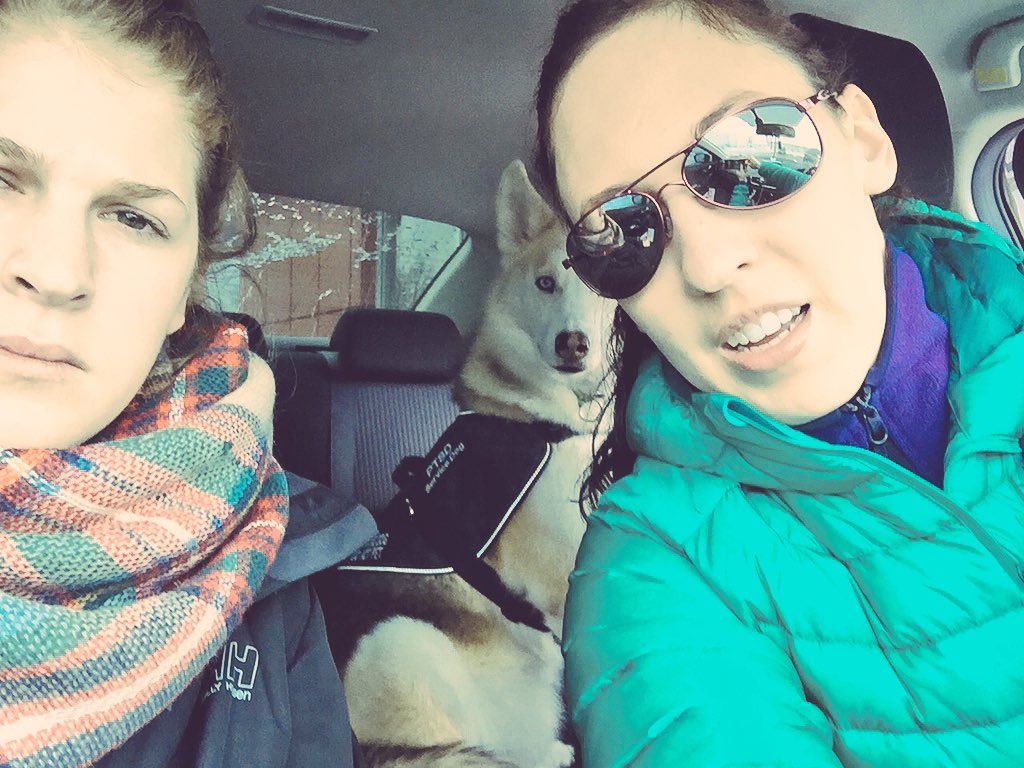 jillamclellan's tweet photo. #shoppinglovers got out for a bit before crowds got to me #mentalhealth #ptsd #BellLetsTalk #servicedog #repyourwoof https://t.co/VAhqwqH95v