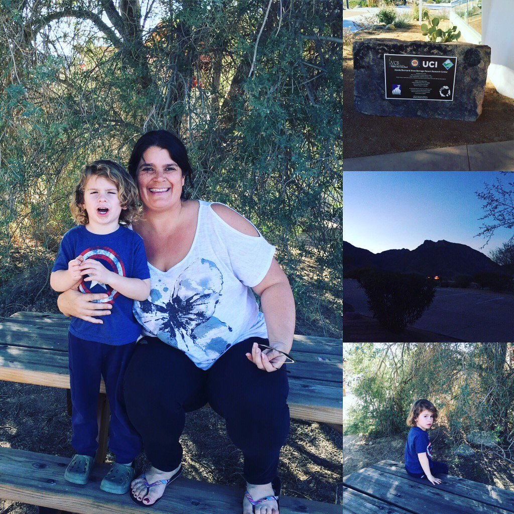 cjdesoto's tweet image. #FindYourPark #encuentratuparque