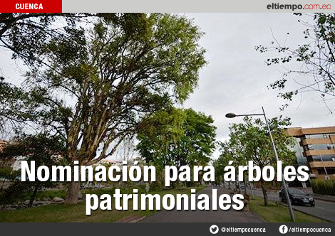 eltiempocuenca's tweet photo. Nominación para árboles patrimoniales- #Cuenca @CGACuenca @MunicipioCuenca https://t.co/mKNb1ggBBQ https://t.co/fA7rAYEiAK