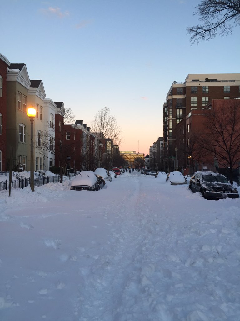 EverydayDC tweet media