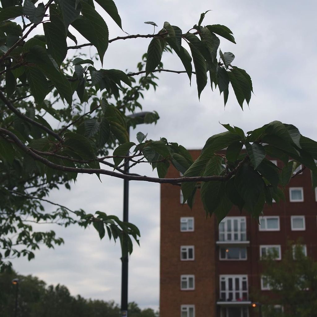 shanazd's tweet image. #roundtheway ift.tt/1WLLJ6b