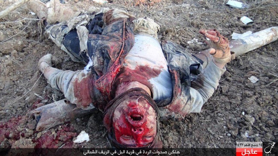 Embedded image permalink