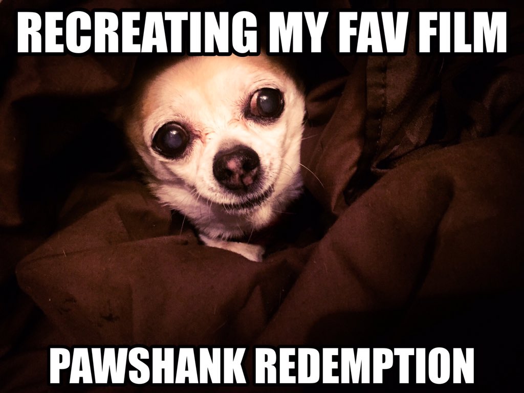 Pebbles Stone tweet media