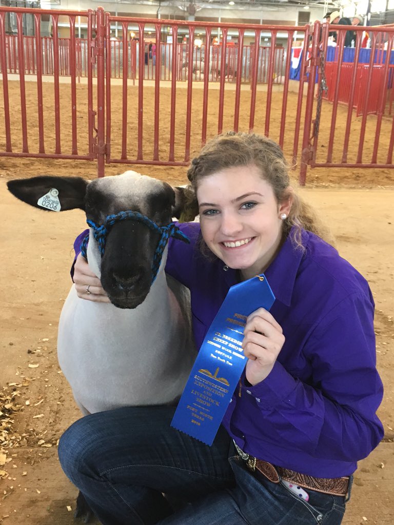 box_lori's tweet photo. Kennedy B. 1st in class at the Hampshire breeding sheep show today! Weatherford FFA #fwssr #thisthingislegendary https://t.co/JPo8q28u3F