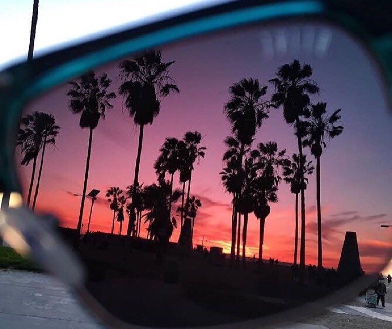 That #9FIVEview through the Belmont Black Croc frame 🔥 #9FIVE #9FIVEeyewear #9FIVERS #9FIVEmelrose