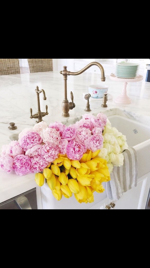 preppy_pieces's tweet photo. Someone deliver these flowers to my house https://t.co/ybHENf1pIZ