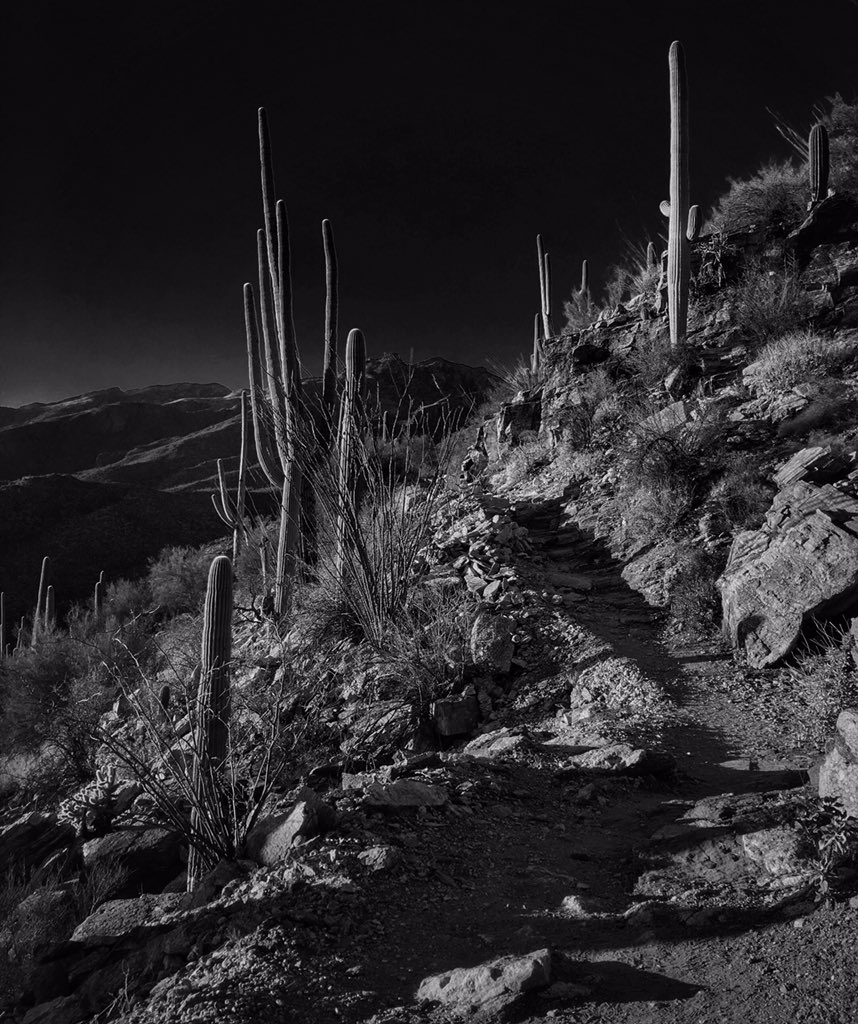 Allophile's tweet photo. Perfect January Tucson evening for a #trailrun... #PhoneLineTrail @runtagit @VisitTucsonAZ @SabinoCanyonAZ https://t.co/1tKYws5fpG