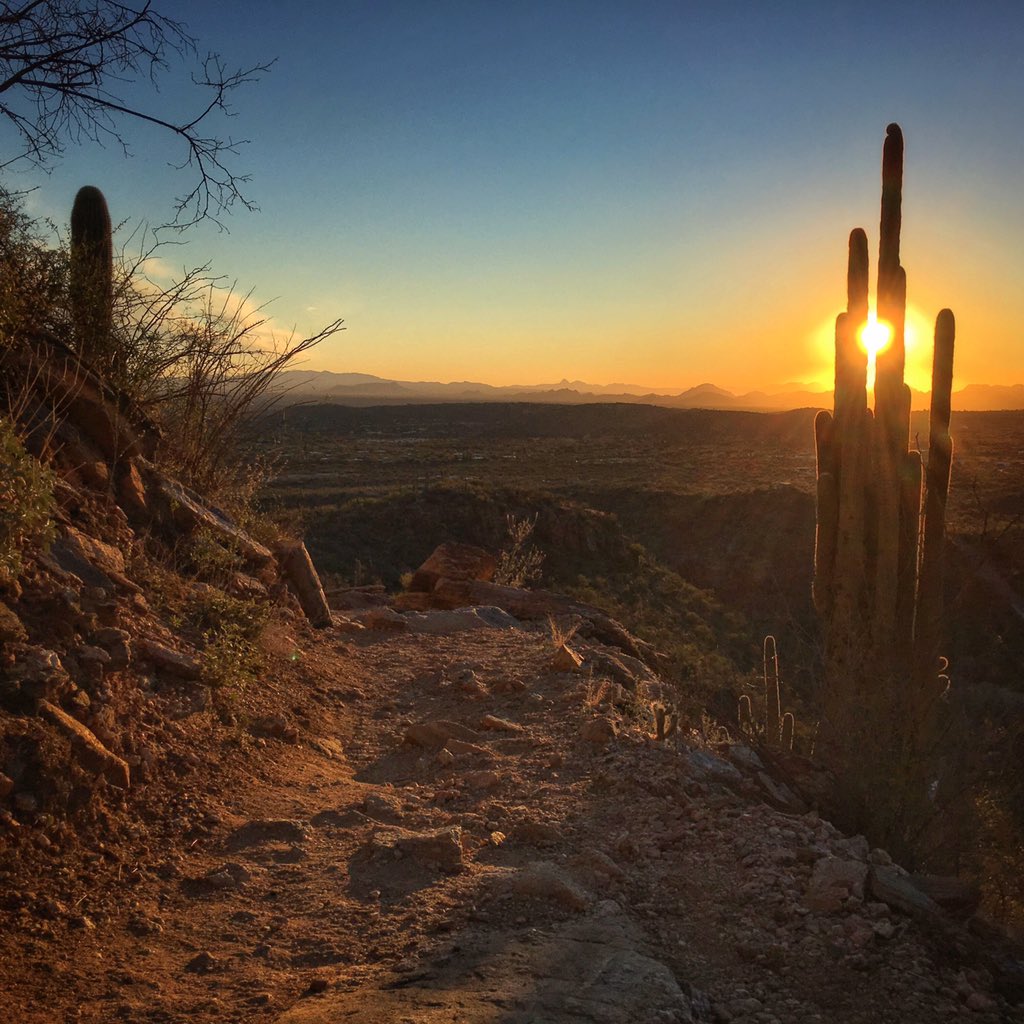 Allophile's tweet photo. Perfect January Tucson evening for a #trailrun... #PhoneLineTrail @runtagit @VisitTucsonAZ @SabinoCanyonAZ https://t.co/1tKYws5fpG