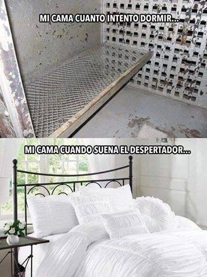 los40mx's tweet photo. Mi cama por las mañanas #Viral40 https://t.co/vhmD15LOrm
