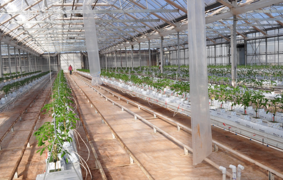 foodtank's tweet photo. Why a bright idea for growing food in the city had to move to the country - https://t.co/EEMMk8pE0l @washingtonpost https://t.co/7qzNMK4t69