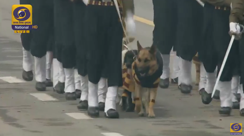 htTweets's tweet photo. The Dog squad marches down Rajpath #RepublicDay 

LIVE updates: https://t.co/AV5bWrQvXi https://t.co/ozl2VR5jzk