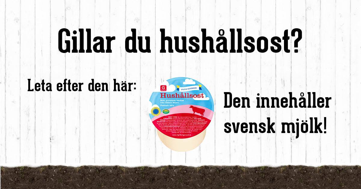 Det går åt 10l mjölk för att producera 1kg ost. Sv hushållsost från Garant, bild från <a href="/Bondepakopet/">Bonde på köpet</a> #frånsverige