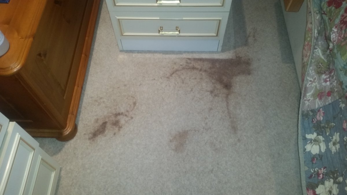hhfloorcare's tweet photo. Hot chocolate spillage no more! #CarpetProtector value is unbeatable. Very happy client in Bramhall https://t.co/FwGuBUdFev