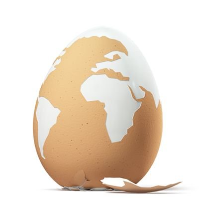 Het ei van Columbus: