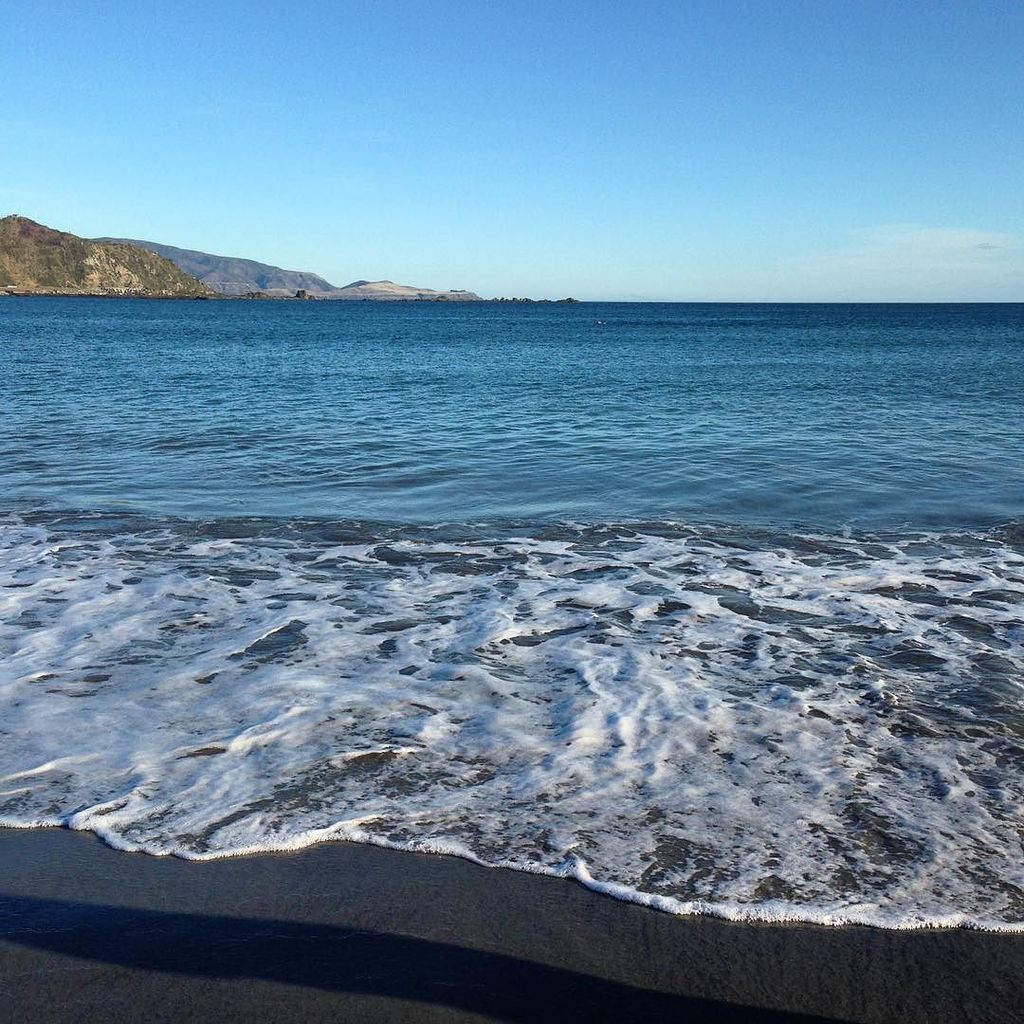 gingagma's tweet photo. #simplicity... Or is it?? #nature #lyallbay #wellington #pōneke #aotearoa #nz #fmsphotoada… https://t.co/bronT1Vxwa https://t.co/I95iX8Rxw2