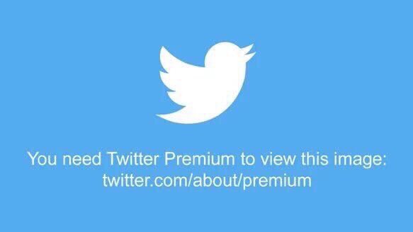 Bruh tweet media