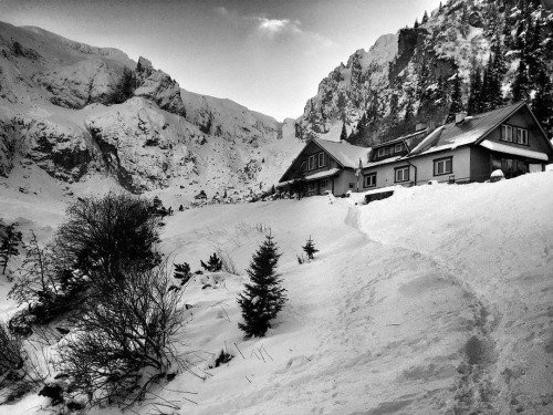 jclinda51's tweet photo. #romania #winter #cabin #malaiesti #bucegi ... - https://t.co/TAejFBYNzZ #photography #amazing #beauty #Photoshoot https://t.co/q211cllE49