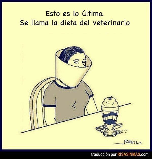 Un poco de humor 😂