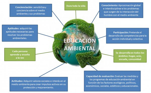MesdelasAves's tweet photo. Hoy celebramos el Día de la #EducaciónAmbiental. https://t.co/LAA8bA0tZ6