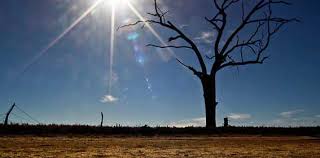 Di lain hari, di rumahnya tak ada sesuatu untuk dimakan. Beliau zuhud, sederhana, dan bersahaja.

#KisahInspiratif