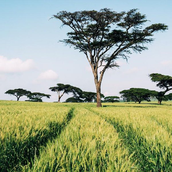 kenyapics's tweet photo. The world is a book. Those who do not travel read only one page. Welcome to #MagicalKenya! #WhyTouristsVisitKenya https://t.co/2SBDOeOszx