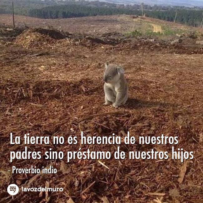 CarlaSteimberg's tweet photo. 🌎☑ @gaba_cala @Ecogranjero @oviperal @kirazeuss @martitasolis732 @SUAREZARAMA @alediaz22 #CuidémoslaTodos‼ https://t.co/QyYrIiXTjh
