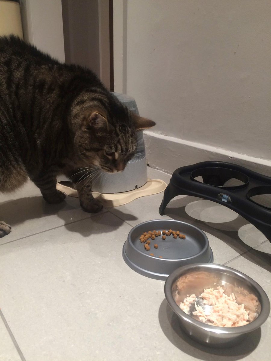 Class A Pet Care tweet media