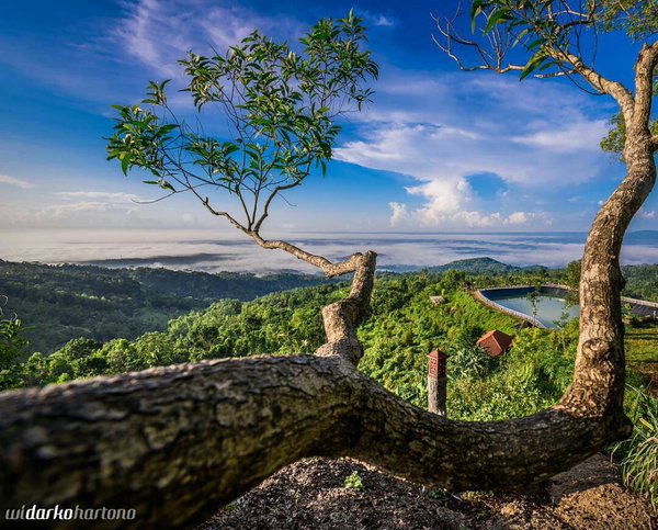 liburangk's tweet image. Landscape Embung Nglanggeran.