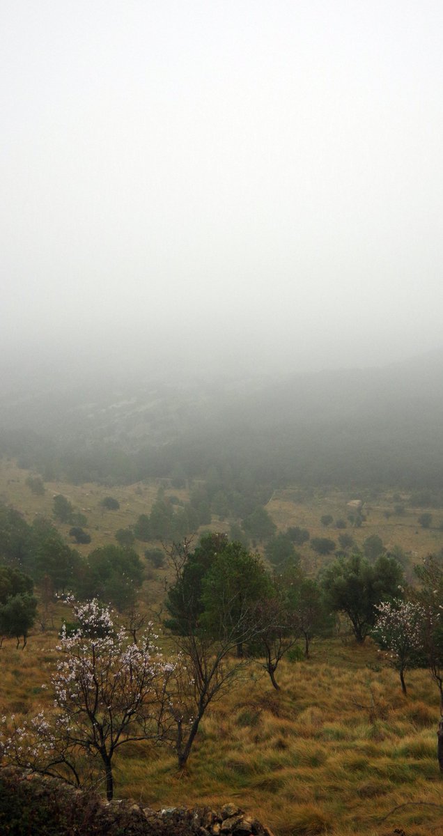 GVAparcs's tweet image. Bon dia des de PN #Tinença @tiempobrasero @radiocastellon @en_vespra