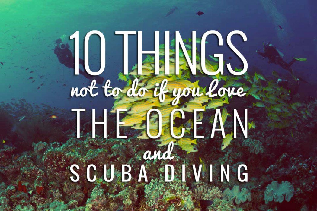 10 Things Not To Do If You Love Scuba Diving And The Ocean by @divein_news divein.com/articles/10-th… #10Tips4Divers