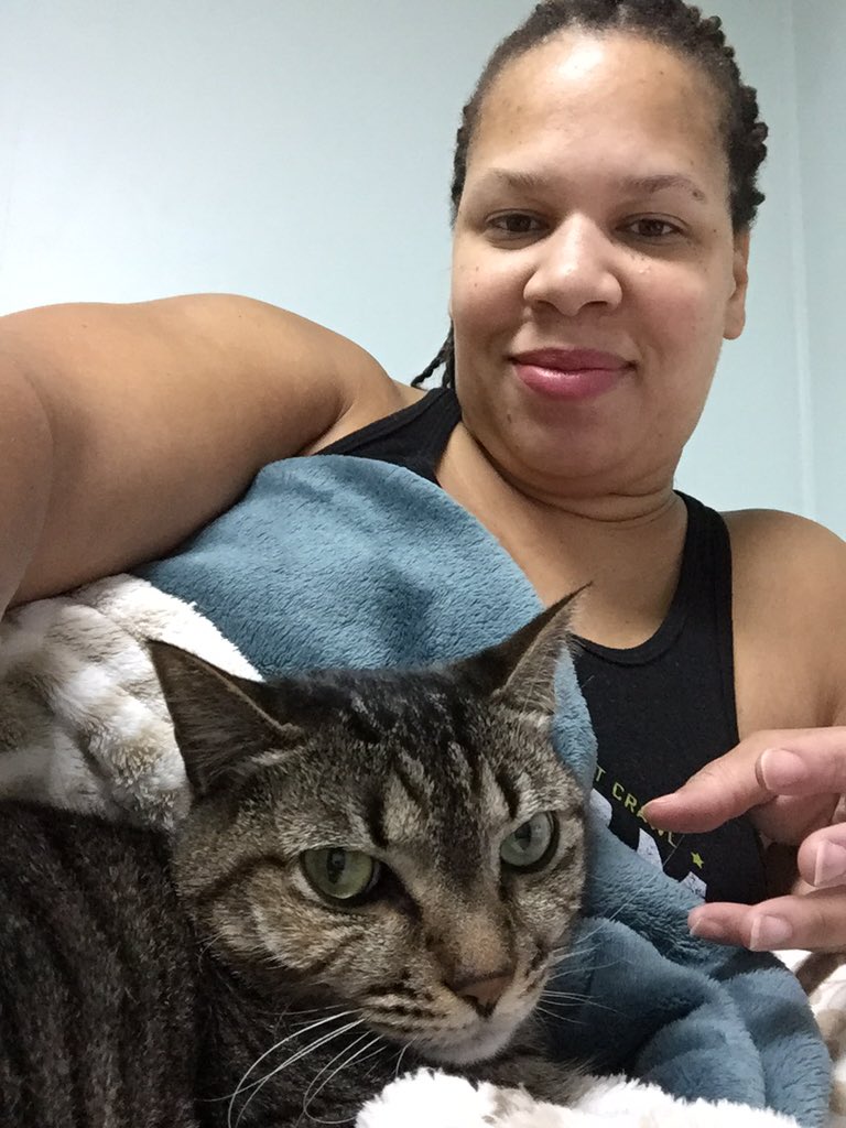 angelcollins1's tweet photo. How is she still determining how much covers I get? #thisbitch #numberonecat https://t.co/3QS83EMeya