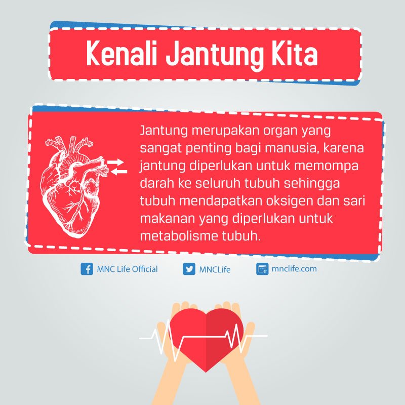 Jantung adalah organ penting bagi manusia. Sayangi jantung Anda dengan olahraga dan makan makanan yang bergizi, yuk!
