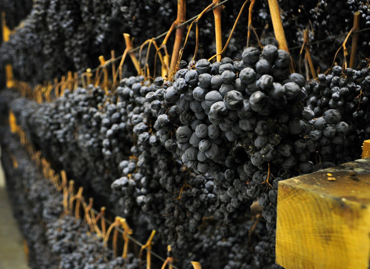 MLMagazineIT's tweet image. #Liberalizzazione nomi vitigni italiani,Alberto Mazzoni dell'@imtdoc:"No alla proposta Ue" bit.ly/1WMDuXu