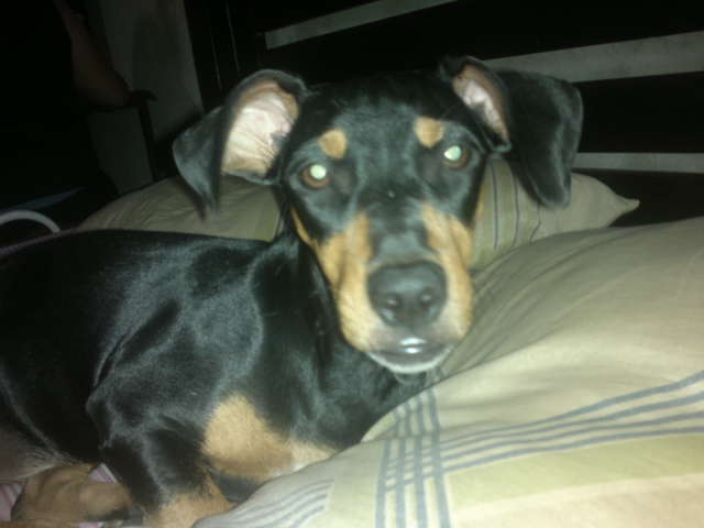 NelsonRj (@nelsonrjbeta) on Twitter photo 