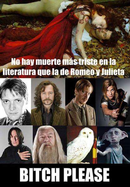 Hogwartssite's tweet image. Por favor.