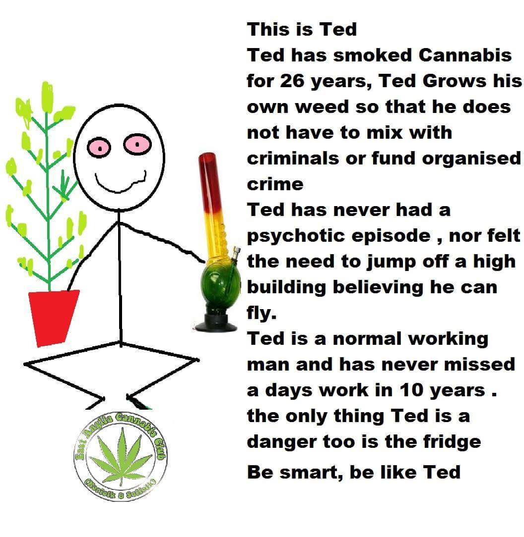 FieldsOfGreenFA's tweet photo. Be smart....Be like Ted.
#OutOfTheCannabisCloset https://t.co/CwiISLNDHF