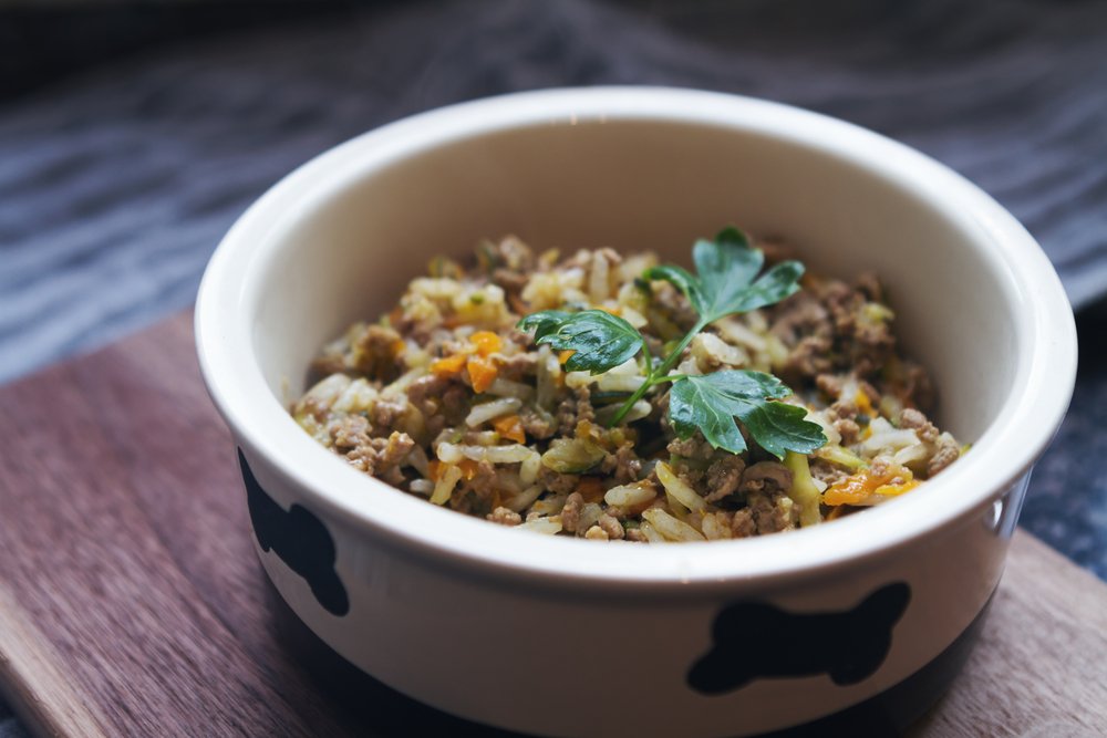 PetMD's tweet photo. #AskpetMD | I Want to Feed a Homemade Meal For My Dog. What are the Basics I Need to Follow? https://t.co/GGNaImjWfi https://t.co/BCqyP94Y2M