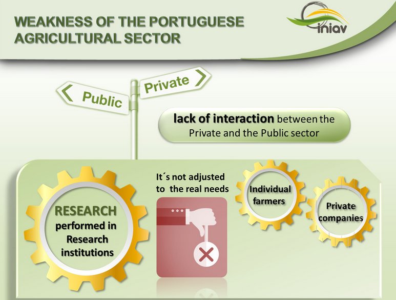 ncp_biohorizon's tweet photo. #EU_AgriResearch Mr Lima (INIAV): Strategy and solution for AGRI R&amp;I in Portugal #agriculture #BioHorizon https://t.co/uKrXX02xHX