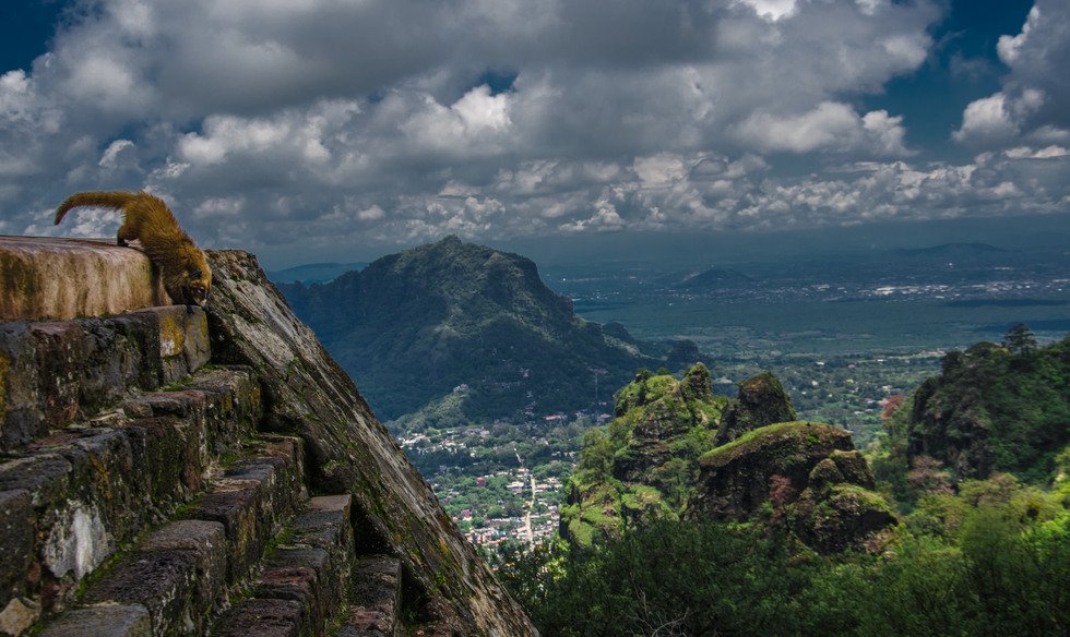 2 Hours from #MexicoCity lies #ElTepozteco, a pyramid that looks like it's from #Uncharted. buff.ly/20caf2i