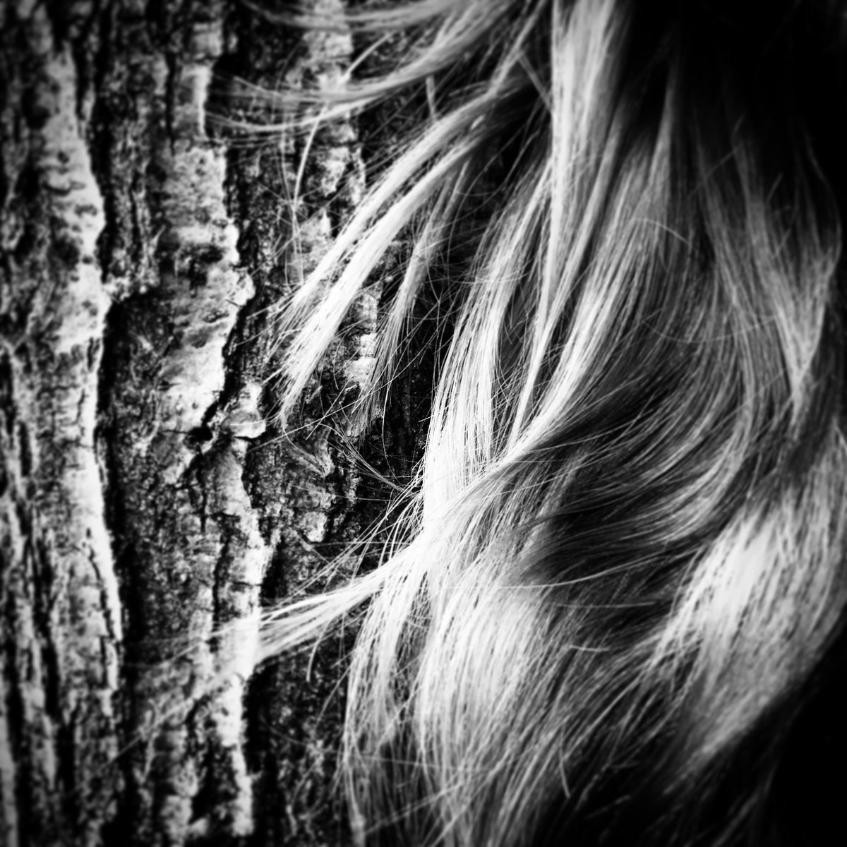 RT: Join us on 04/02/16 for <a href="/katieKubrak/">Katie Kubrak</a>'s exhibition - DETAILS ht.ly/XdQq3 <a href="/FirstThurs/">First Thursdays</a> <a href="/_TheWhitechapel/">Whitechapel Gallery</a>